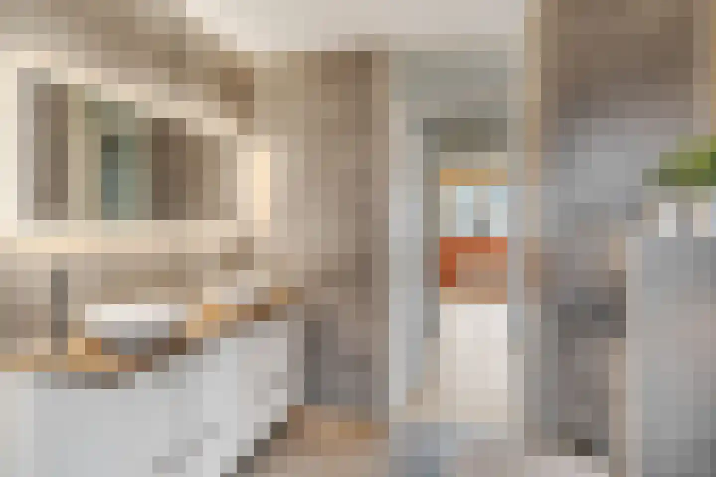 Muzenlaan 8 Gorinchem thumbnail 33