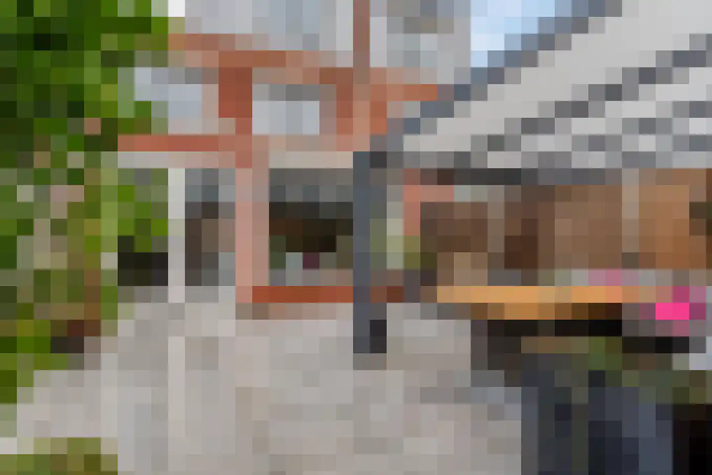 Muzenlaan 8 Gorinchem thumbnail 42