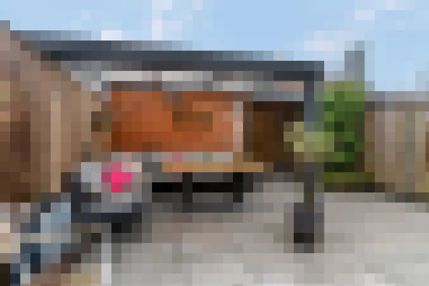 Muzenlaan 8 Gorinchem thumbnail 43