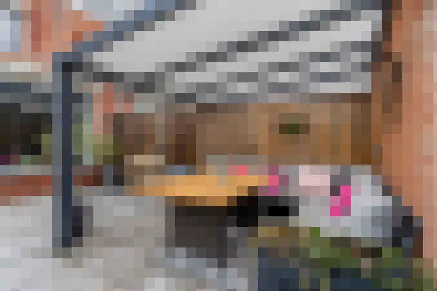 Muzenlaan 8 Gorinchem thumbnail 44