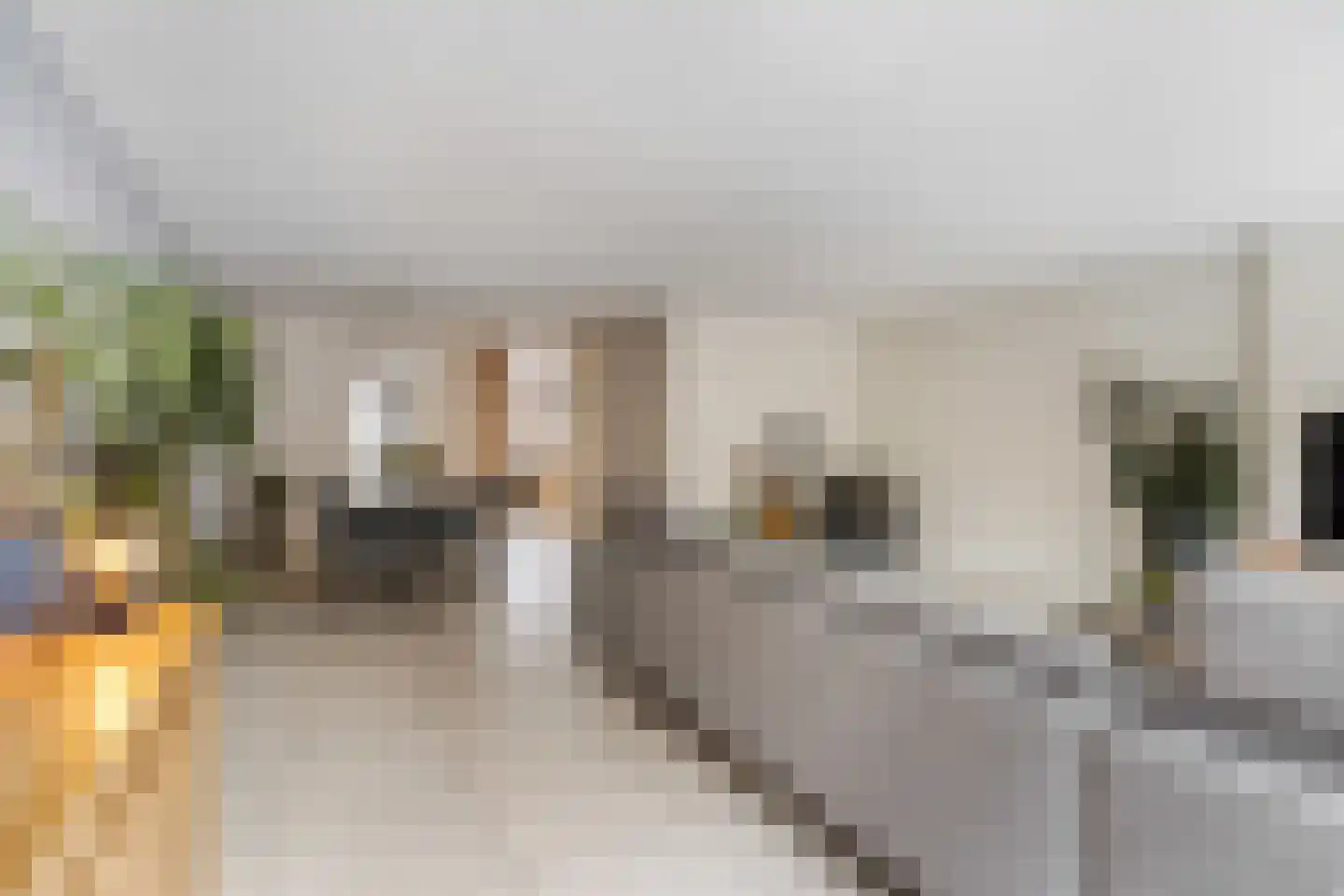 Muzenlaan 8 Gorinchem thumbnail 6