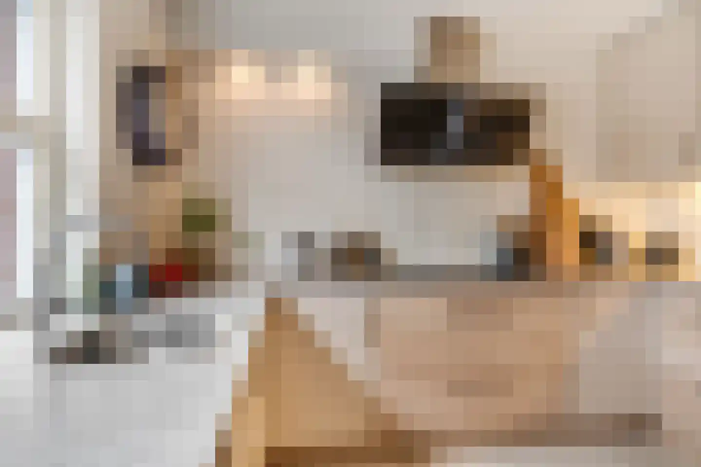 Muzenlaan 8 Gorinchem thumbnail 7