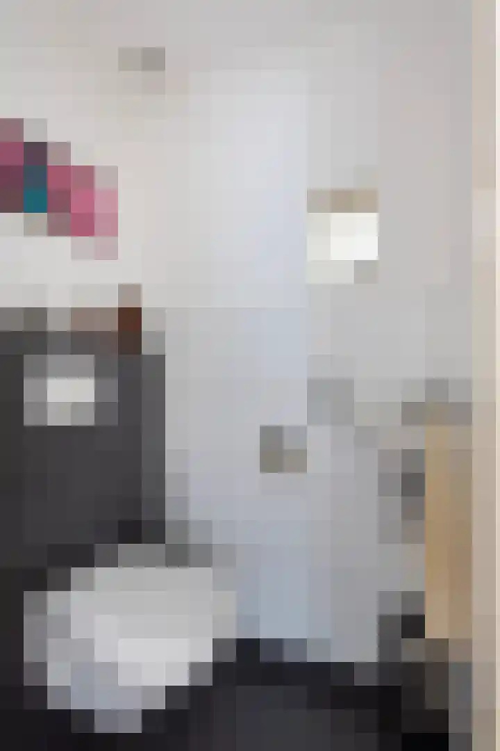 Muzenlaan 84 Beek en Donk thumbnail 15