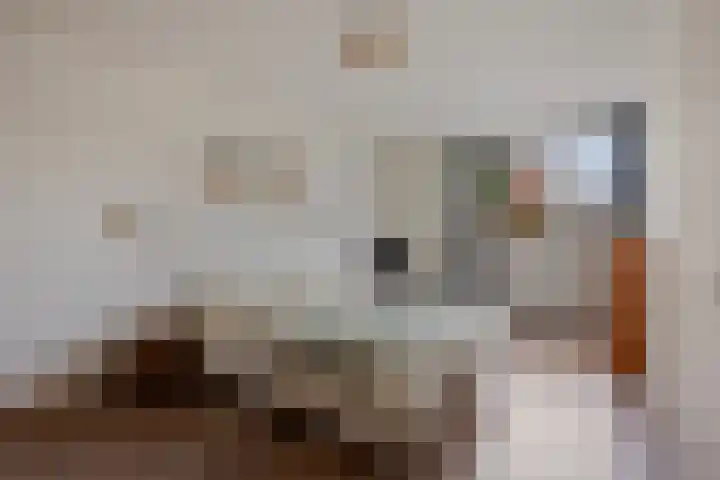Muzenlaan 84 Beek en Donk thumbnail 17