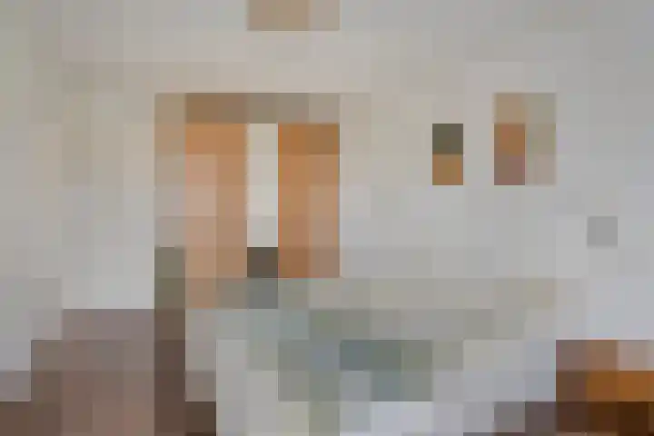 Muzenlaan 84 Beek en Donk thumbnail 18