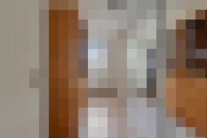 Muzenlaan 84 Beek en Donk thumbnail 20