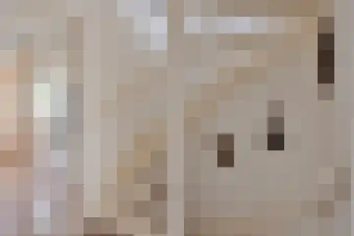 Muzenlaan 84 Beek en Donk thumbnail 25