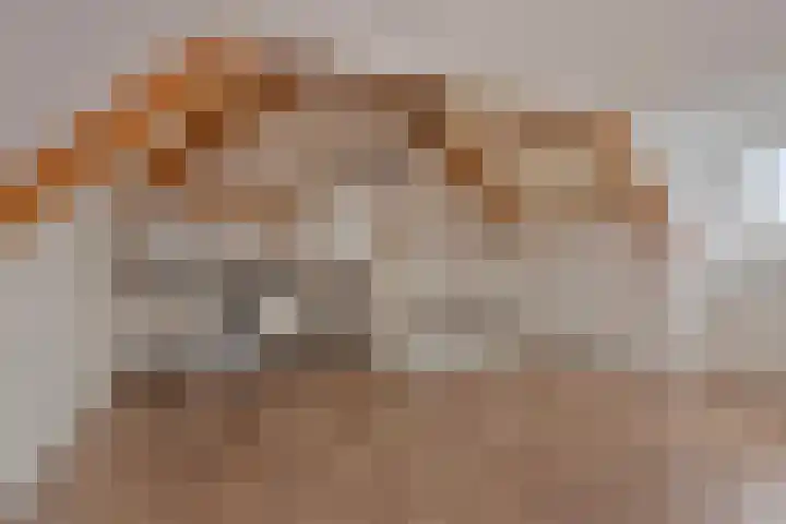 Muzenlaan 84 Beek en Donk thumbnail 27