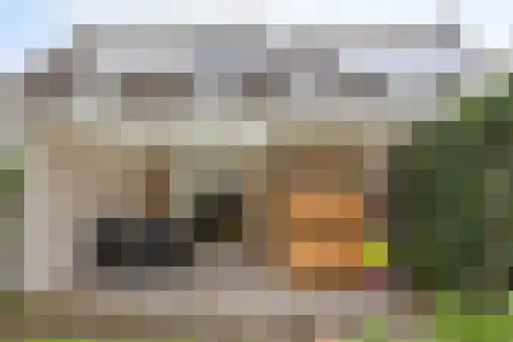 Muzenlaan 84 Beek en Donk thumbnail 28