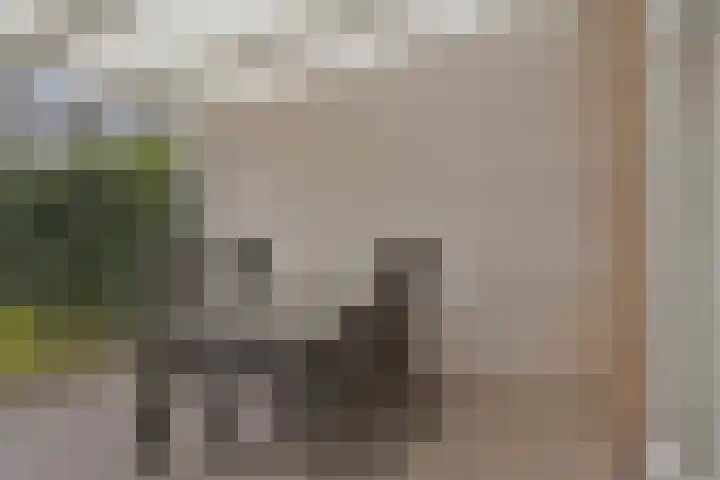 Muzenlaan 84 Beek en Donk thumbnail 30