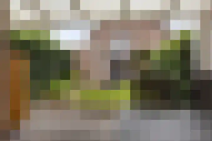 Muzenlaan 84 Beek en Donk thumbnail 31