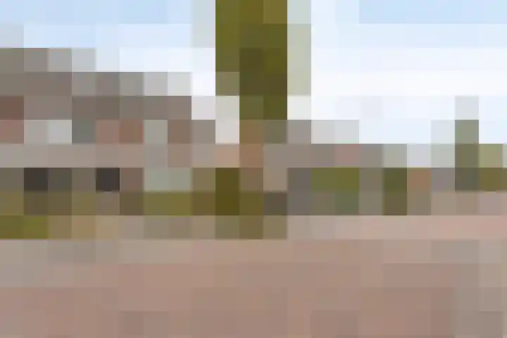 Muzenlaan 84 Beek en Donk thumbnail 5