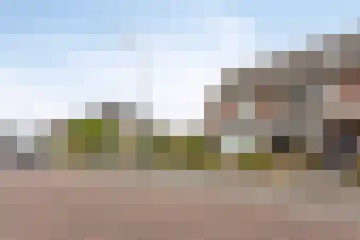 Muzenlaan 84 Beek en Donk thumbnail 6