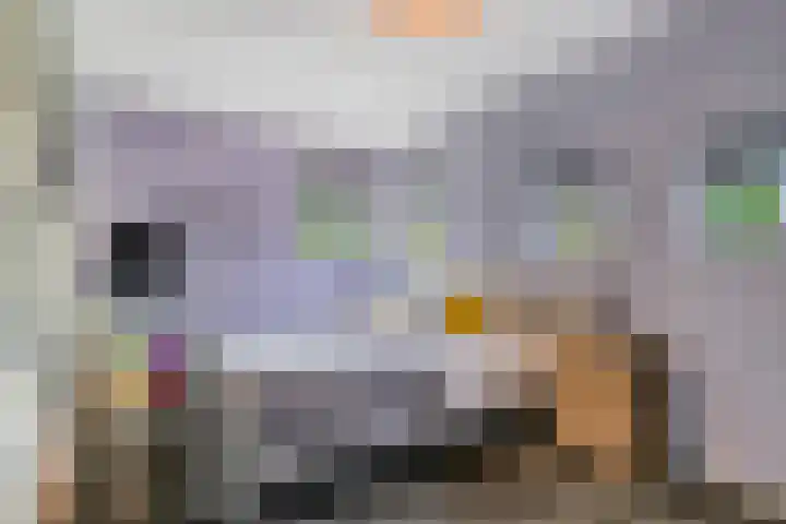 Muzenlaan 88 Beek en Donk thumbnail 15