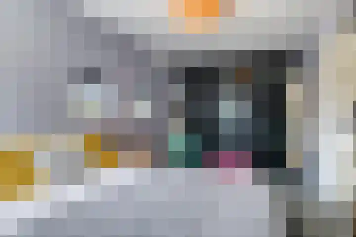 Muzenlaan 88 Beek en Donk thumbnail 16
