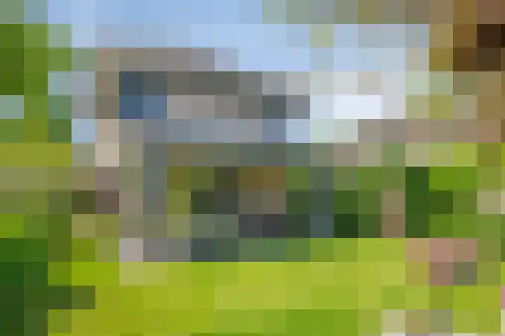 Muzenlaan 88 Beek en Donk foto 2