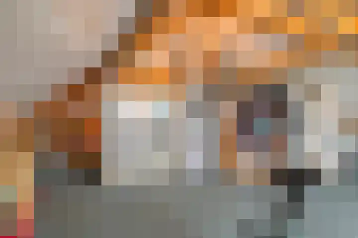 Muzenlaan 88 Beek en Donk thumbnail 24