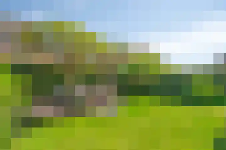 Muzenlaan 88 Beek en Donk thumbnail 25