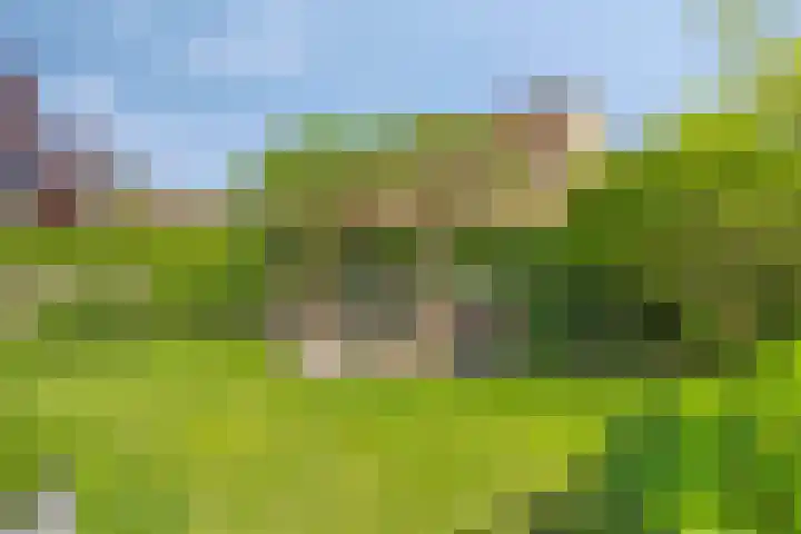 Muzenlaan 88 Beek en Donk thumbnail 26
