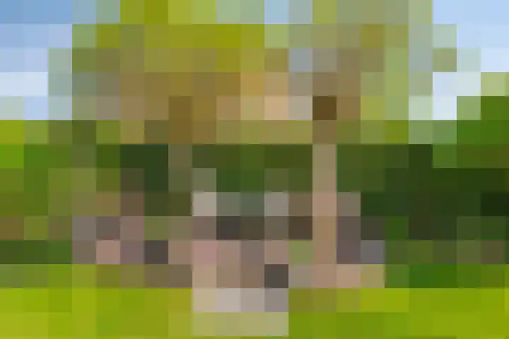 Muzenlaan 88 Beek en Donk thumbnail 27