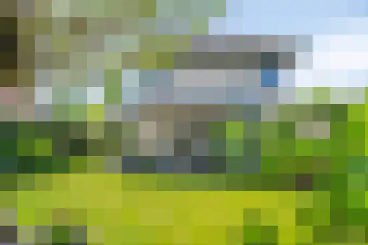 Muzenlaan 88 Beek en Donk thumbnail 28