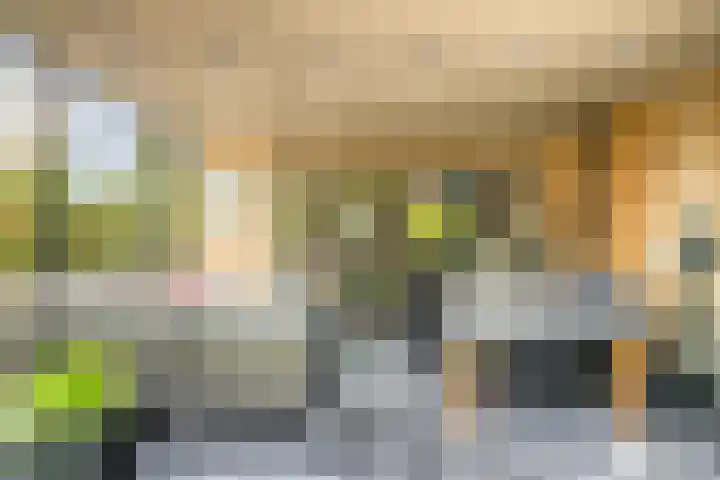Muzenlaan 88 Beek en Donk thumbnail 29