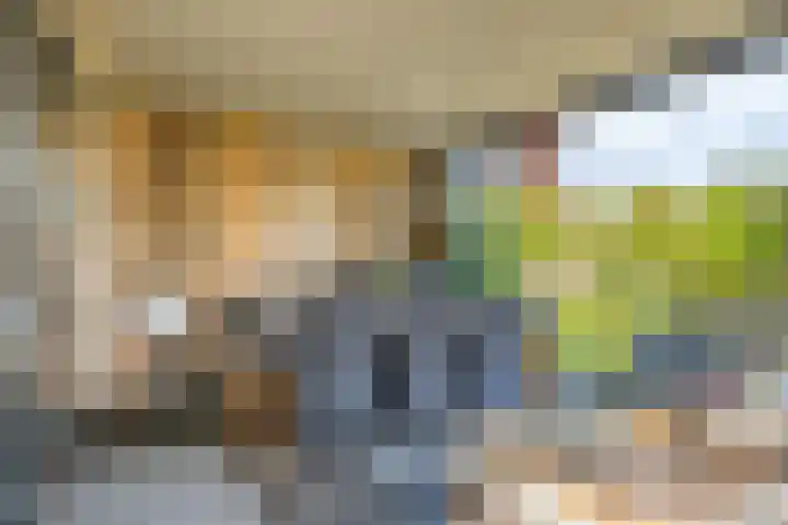 Muzenlaan 88 Beek en Donk thumbnail 30