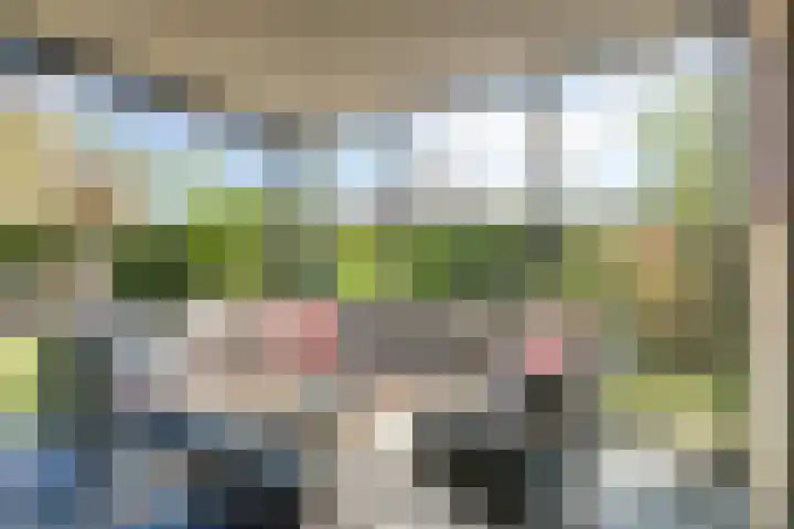Muzenlaan 88 Beek en Donk thumbnail 31