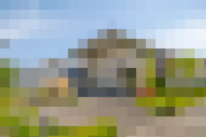 Muzenlaan 88 Beek en Donk thumbnail 34