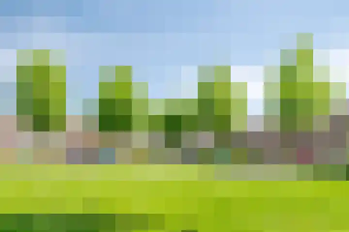Muzenlaan 88 Beek en Donk thumbnail 35
