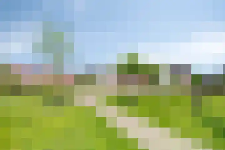 Muzenlaan 88 Beek en Donk thumbnail 36