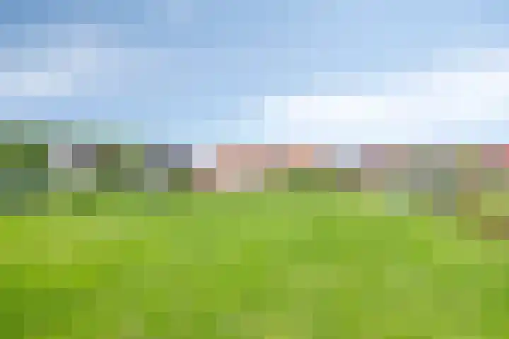 Muzenlaan 88 Beek en Donk thumbnail 37