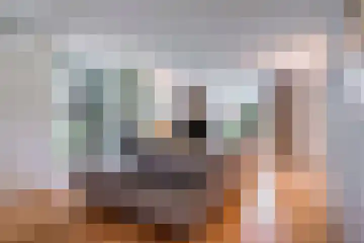 Muzenlaan 88 Beek en Donk thumbnail 4