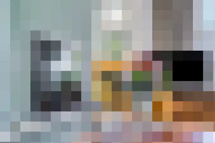 Muzenlaan 88 Beek en Donk thumbnail 7