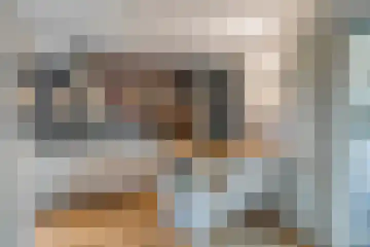 Muzenlaan 88 Beek en Donk thumbnail 9