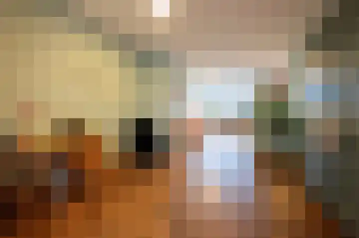 Muzenlaan 9 Oudenbosch thumbnail 14