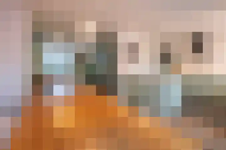 Muzenlaan 9 Oudenbosch thumbnail 18