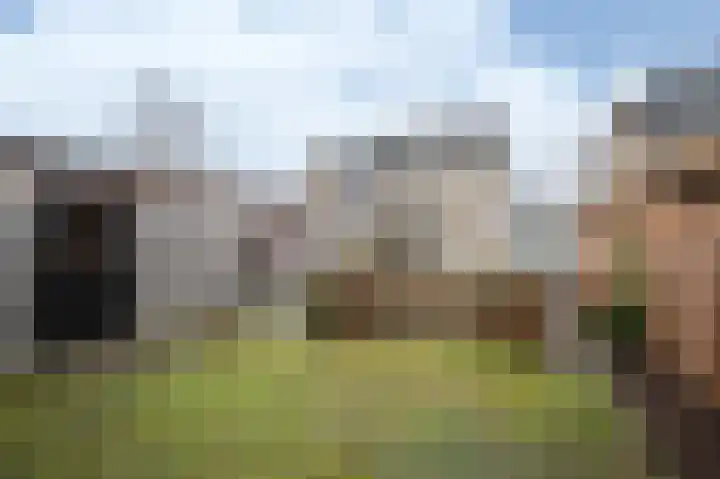 Muzenlaan 9 Oudenbosch thumbnail 25