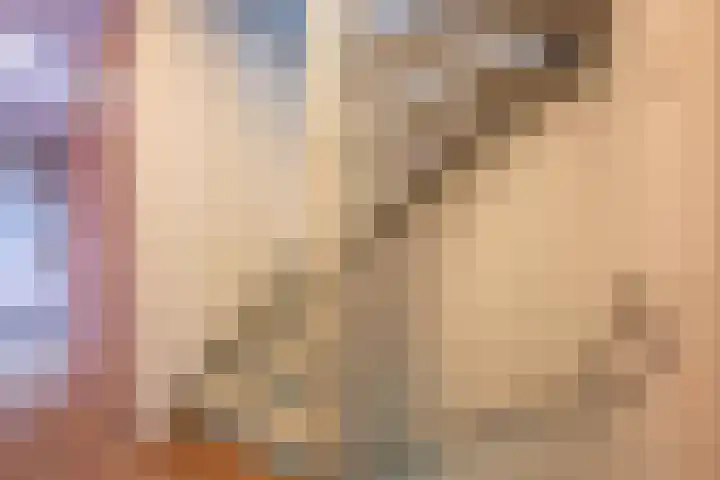 Muzenlaan 9 Oudenbosch thumbnail 29