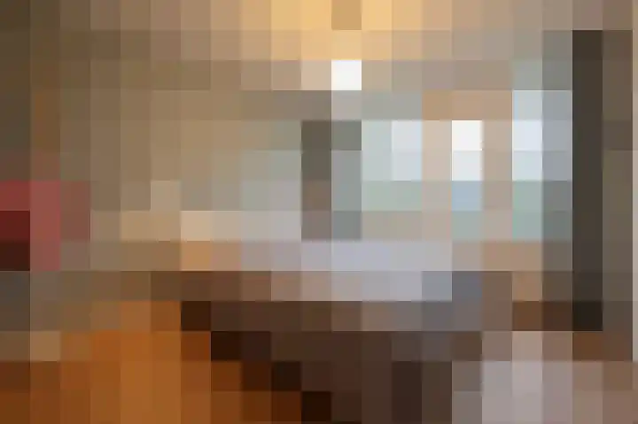 Muzenlaan 9 Oudenbosch thumbnail 35