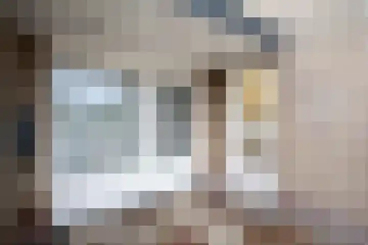 Muzenlaan 9 Oudenbosch thumbnail 4