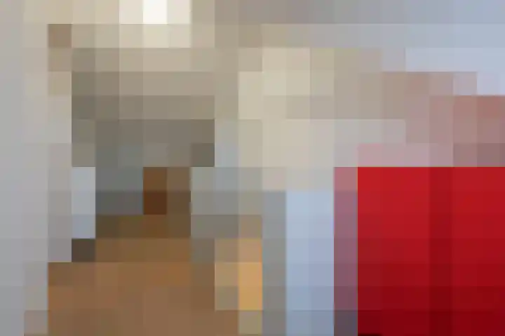 Muzenlaan 9 Oudenbosch thumbnail 47