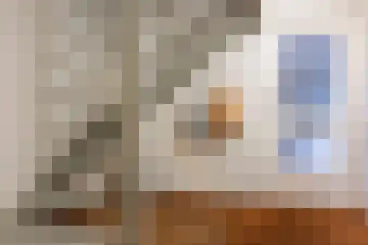 Muzenlaan 9 Oudenbosch thumbnail 5
