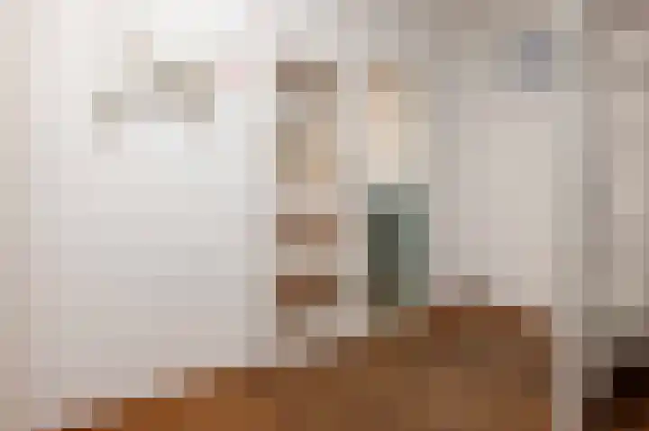 Muzenlaan 9 Oudenbosch thumbnail 7