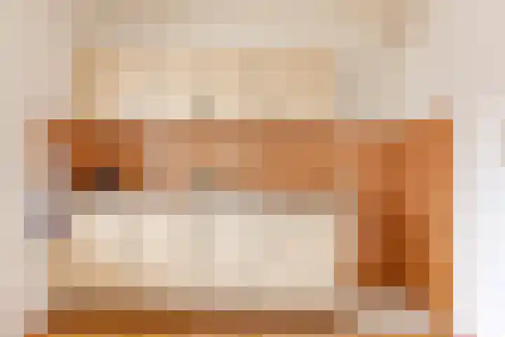 Muzenlaan 91 Leiderdorp thumbnail 12
