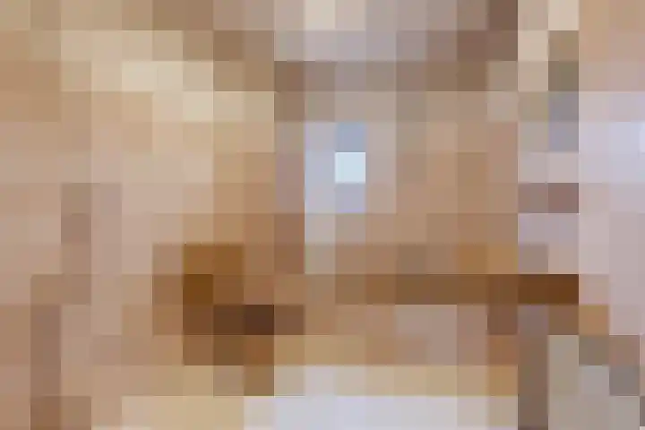 Muzenlaan 91 Leiderdorp thumbnail 23
