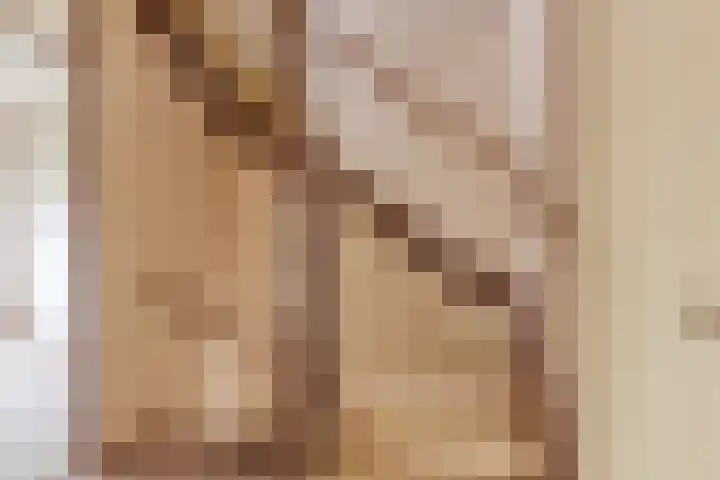 Muzenlaan 91 Leiderdorp thumbnail 24