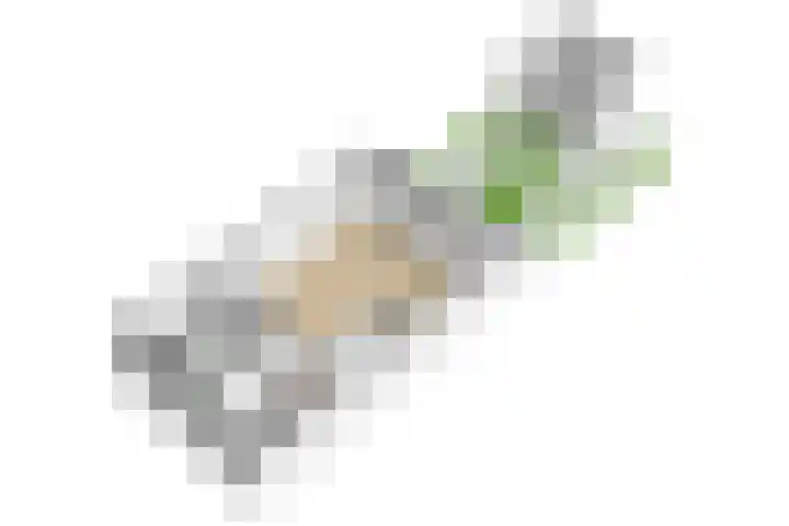 Muzenlaan 91 Leiderdorp thumbnail 34