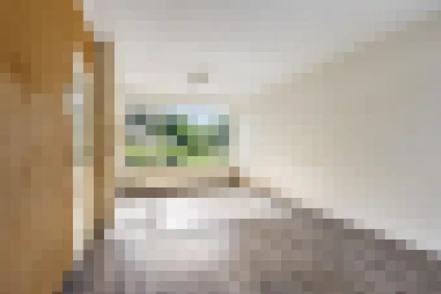 Muzenlaan 95 Eindhoven thumbnail 5