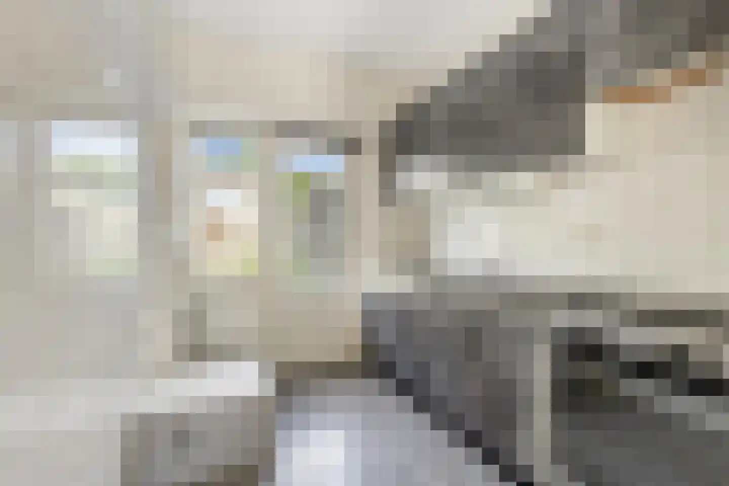 Muzenlaan 95 Eindhoven thumbnail 6